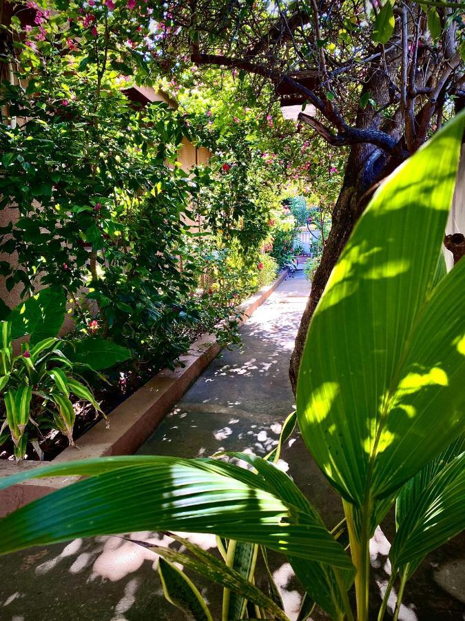 Villa Orchid Beach Guest House บูจู ภายนอก รูปภาพ