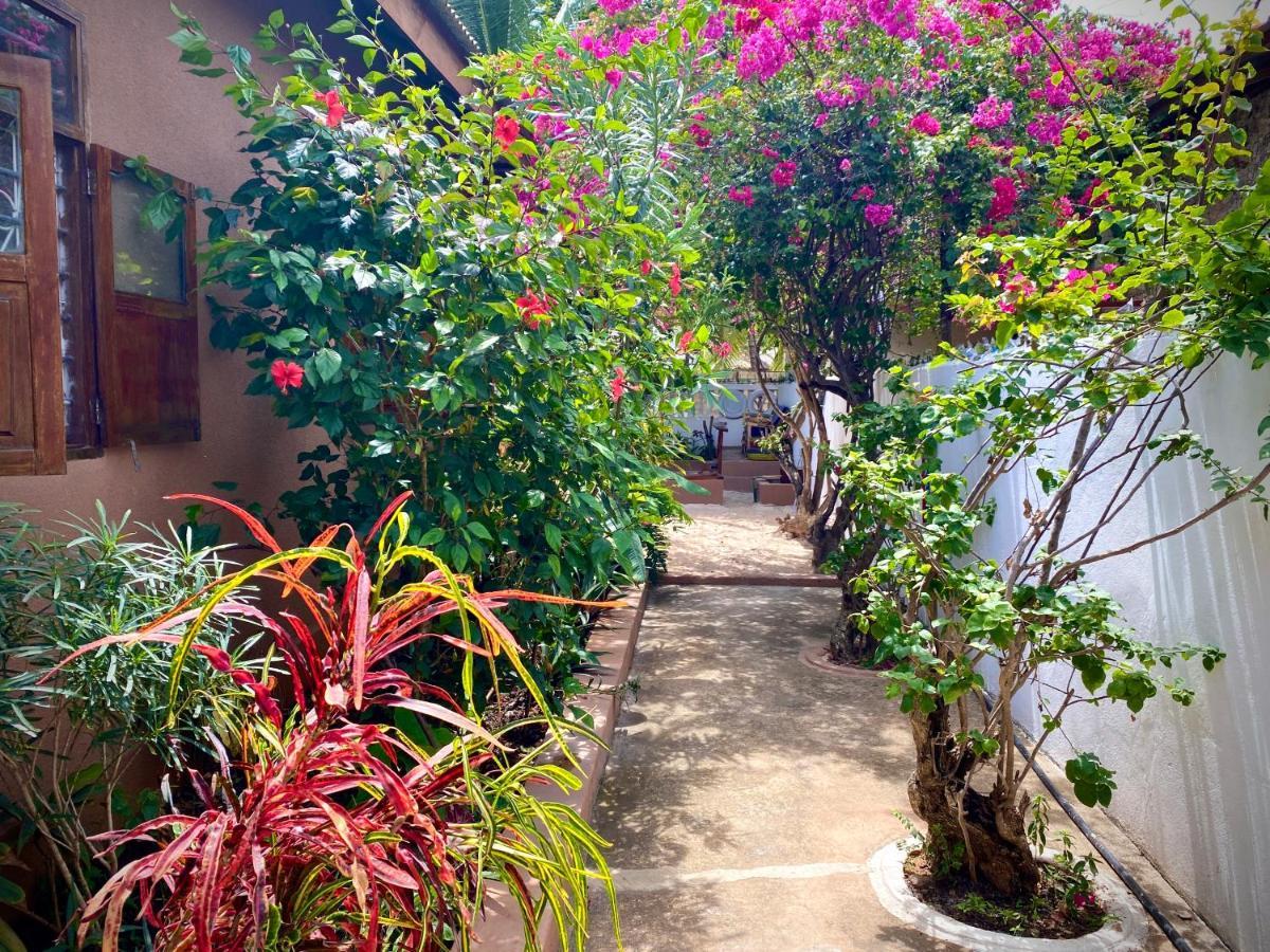 Villa Orchid Beach Guest House บูจู ภายนอก รูปภาพ